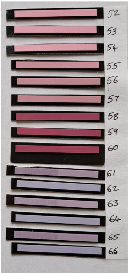 Shades of Pink & Purple